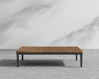 Francis End Table - Black