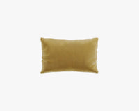 Rectangular Throw Pillow - Plush Velvet - Golden Beryl 2022