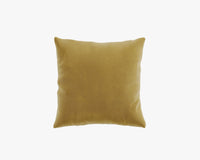 Large Throw Pillow - Plush Velvet - Golden Beryl 2022
