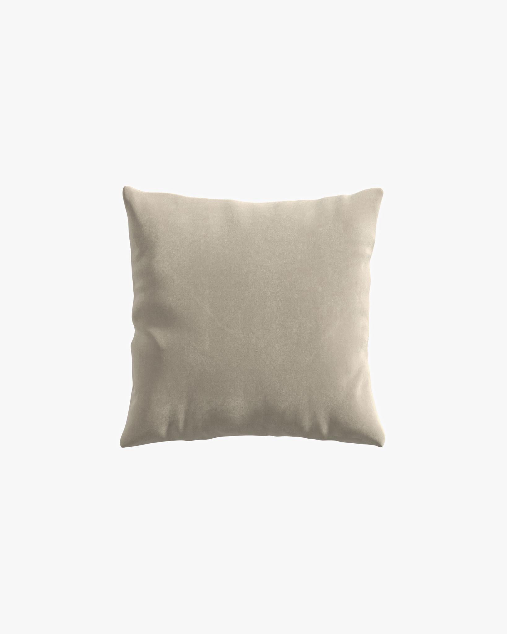 Large Throw Pillow - Plush Velvet - Warm Taupe