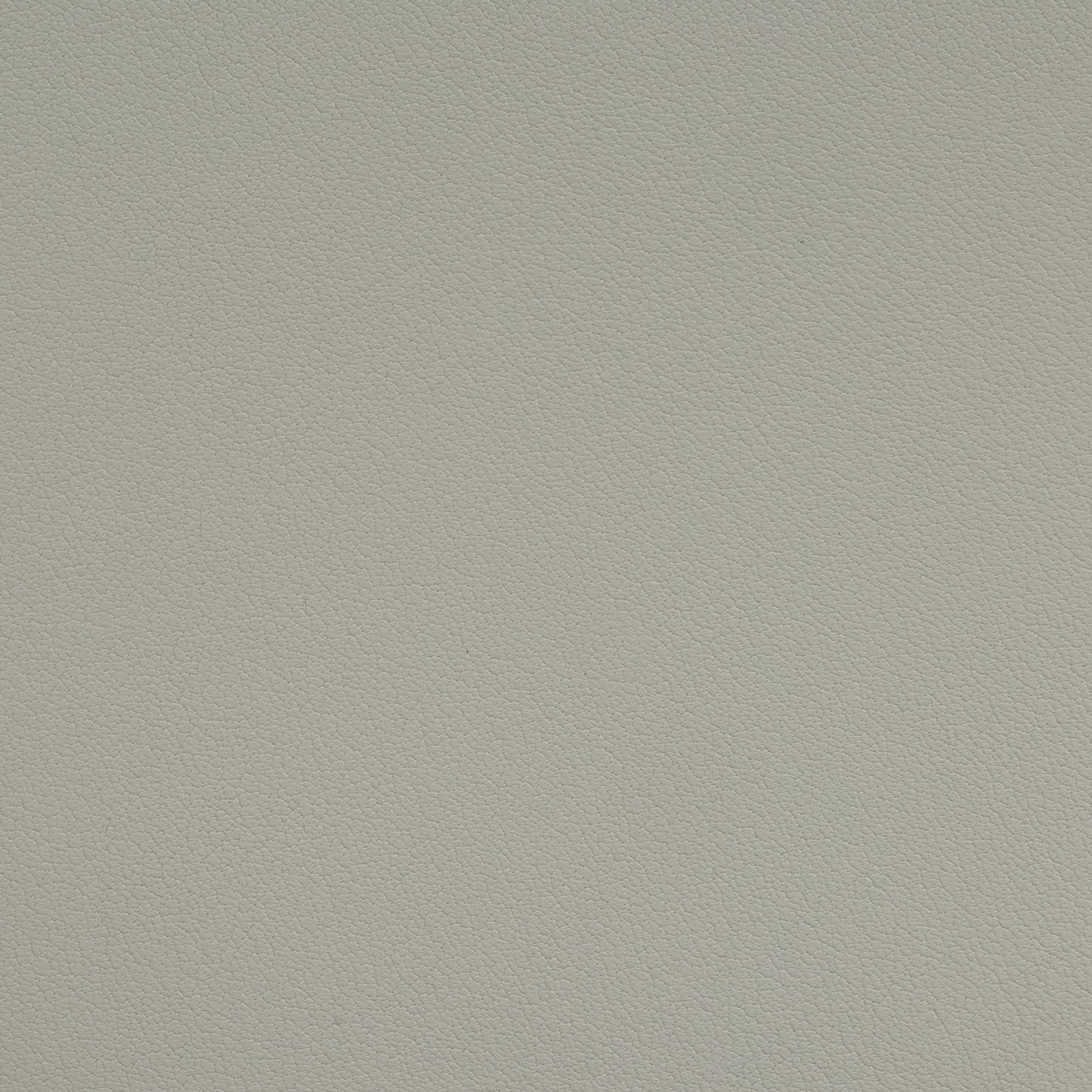 Rove Concepts Swatches