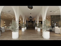 Augustus Sideboard - Walnut