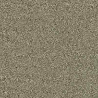 Signature Plush Velvet - Olive Green