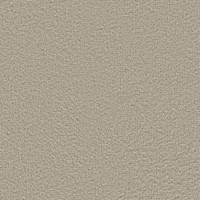 Signature Plush Velvet - Warm Taupe