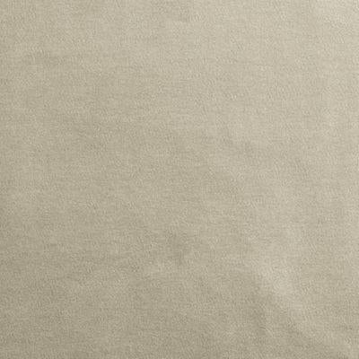 Plush Velvet - Oat